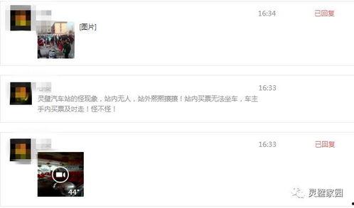 灵壁网友爆料视频大全,揭秘生活百态，直击社会热点